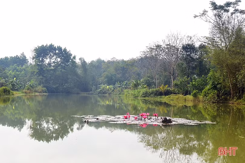 Về khu dân cư kiểu mẫu thông minh ở Hương Khê ngày đầu xuân