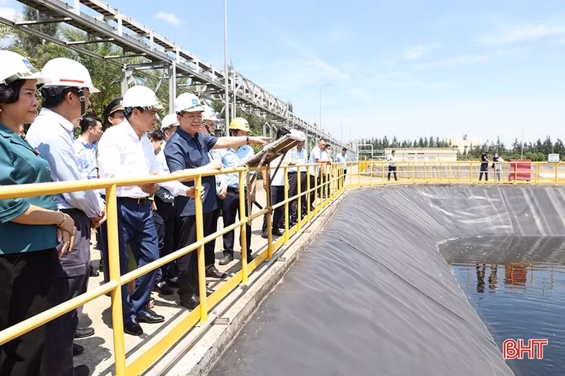 Đường xuân rộng mở...