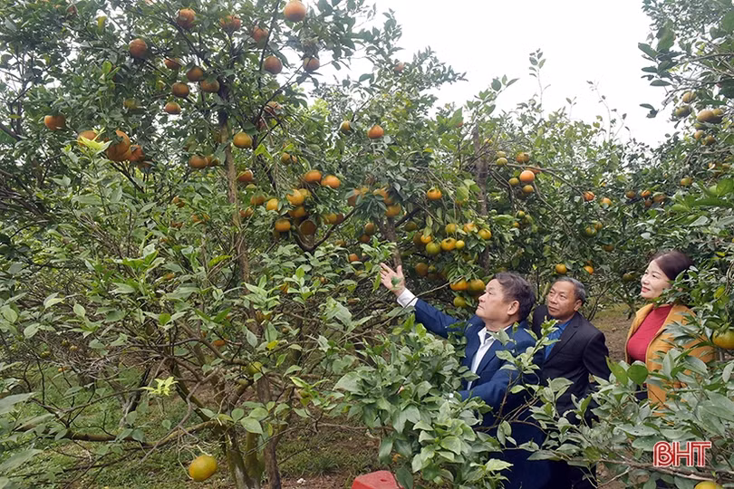 Về khu dân cư kiểu mẫu thông minh ở Hương Khê ngày đầu xuân