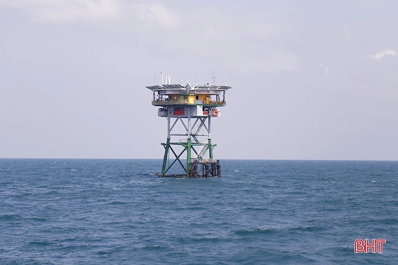 Mướt xanh vườn rau giữa biển khơi của lính hải quân