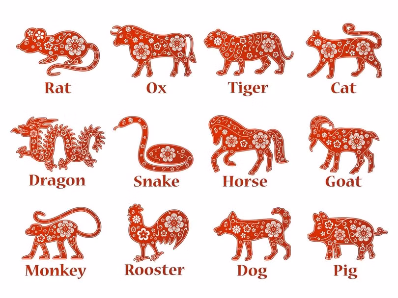 Năm mão nghe chuyện vui về mèo