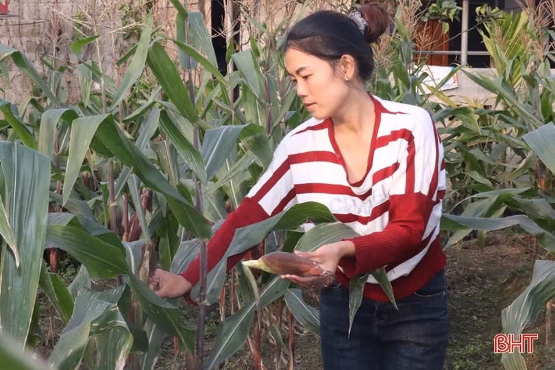 Người dân miền núi Hà Tĩnh “xông đất” lấy may ngày đầu năm mới