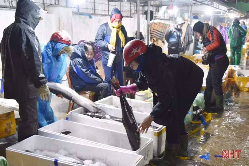 Bến cá Thạch Kim sôi động những ngày giáp tết