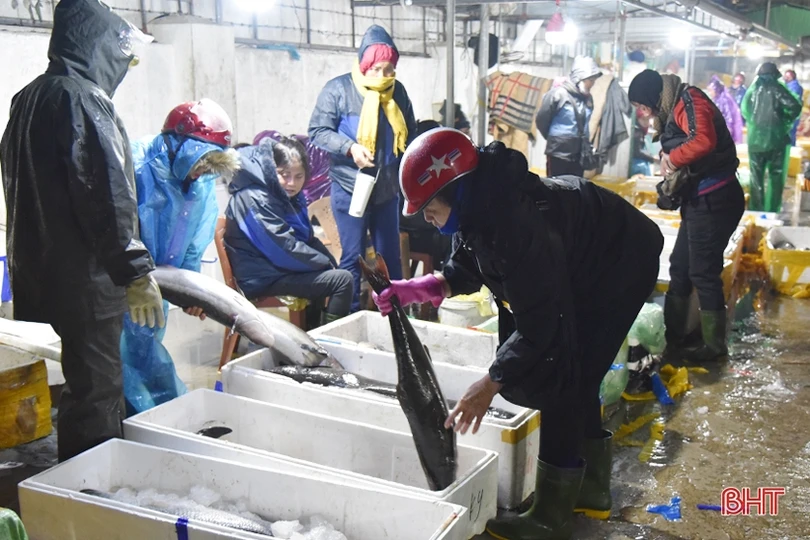 Bến cá Thạch Kim sôi động những ngày giáp tết