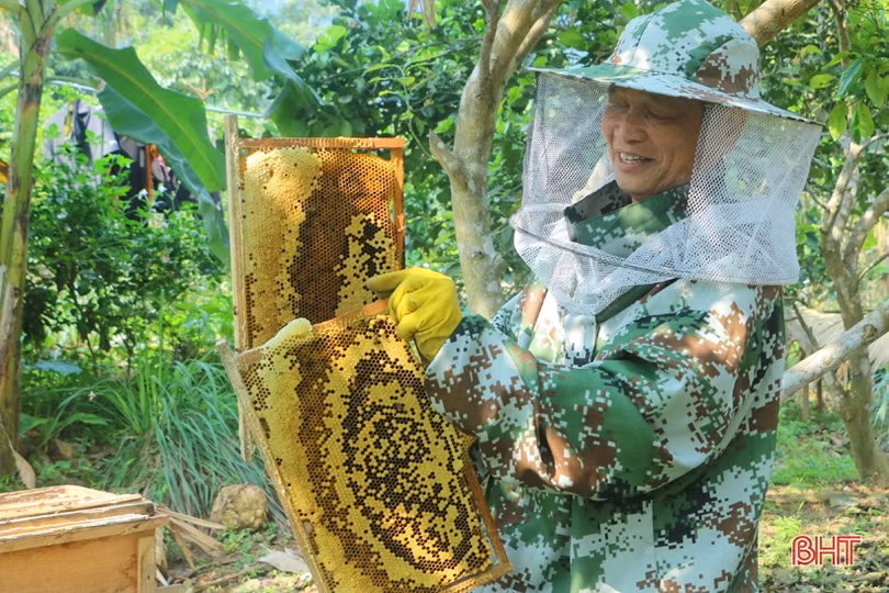 Sắc thắm Vũ Quang