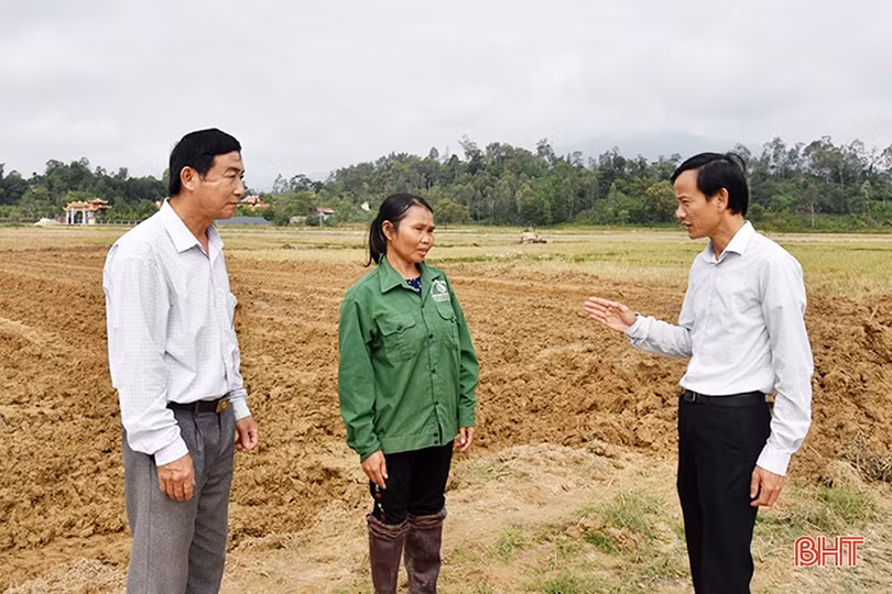 Cuộc “cách mạng” mới trên đồng ruộng Lộc Hà