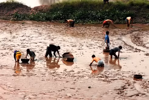 Cây đa, bến nước, mái đình luôn là hình ảnh thân thương của nông thôn Việt Nam. Giếng làng thường là nơi giặt giũ, rửa chân tay của người dân. Con trâu đi trước, cái cày theo sau. Chồng cày, vợ cấy con trâu đi bừa. Một buổi sáng trên cánh đồng vào mùa gieo cấy. Trẻ em theo bố ra đồng. Hàng quán với nước chè xanh, kẹo dồi, kẹo vừng, kẹo lạc. Những ngôi nhà tầng đã mọc lên nhiều hơn những nhà mái ngói hay nhà tranh vách đất, ba gian. Mùa gặt, lúa chín vàng rộ. Chở lúa về nhà. Trẻ giúp mẹ cào thóc. Tát vét, bắt tôm cá. Sẩy thóc trong ánh hoàng hôn. Giúp bạn học bài.