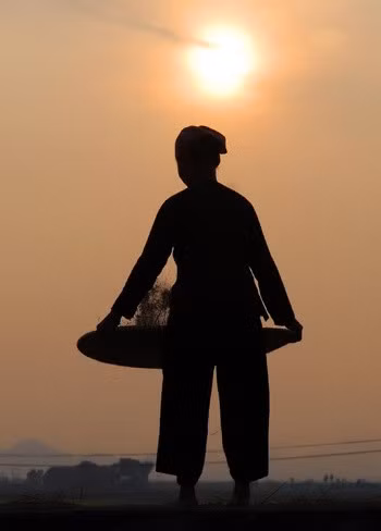 Cây đa, bến nước, mái đình luôn là hình ảnh thân thương của nông thôn Việt Nam. Giếng làng thường là nơi giặt giũ, rửa chân tay của người dân. Con trâu đi trước, cái cày theo sau. Chồng cày, vợ cấy con trâu đi bừa. Một buổi sáng trên cánh đồng vào mùa gieo cấy. Trẻ em theo bố ra đồng. Hàng quán với nước chè xanh, kẹo dồi, kẹo vừng, kẹo lạc. Những ngôi nhà tầng đã mọc lên nhiều hơn những nhà mái ngói hay nhà tranh vách đất, ba gian. Mùa gặt, lúa chín vàng rộ. Chở lúa về nhà. Trẻ giúp mẹ cào thóc. Tát vét, bắt tôm cá. Sẩy thóc trong ánh hoàng hôn. Giúp bạn học bài.