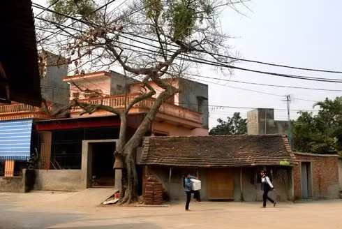 Cây đa, bến nước, mái đình luôn là hình ảnh thân thương của nông thôn Việt Nam. Giếng làng thường là nơi giặt giũ, rửa chân tay của người dân. Con trâu đi trước, cái cày theo sau. Chồng cày, vợ cấy con trâu đi bừa. Một buổi sáng trên cánh đồng vào mùa gieo cấy. Trẻ em theo bố ra đồng. Hàng quán với nước chè xanh, kẹo dồi, kẹo vừng, kẹo lạc. Những ngôi nhà tầng đã mọc lên nhiều hơn những nhà mái ngói hay nhà tranh vách đất, ba gian. Mùa gặt, lúa chín vàng rộ. Chở lúa về nhà. Trẻ giúp mẹ cào thóc. Tát vét, bắt tôm cá. Sẩy thóc trong ánh hoàng hôn. Giúp bạn học bài.