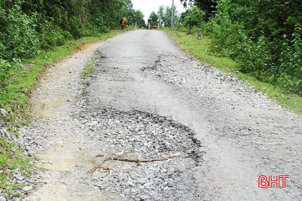 Đầy rẫy “ổ trâu” trên đường biên giới ở Hương Khê