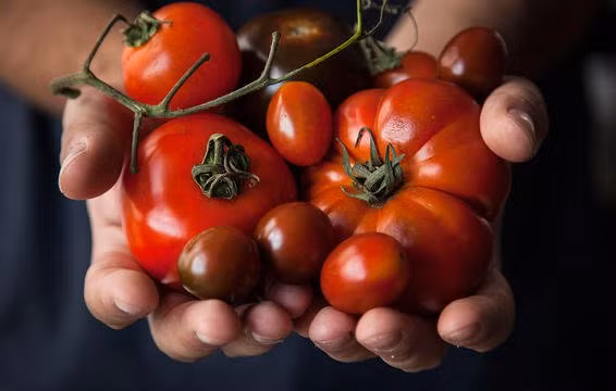 10 thực phẩm tốt nhất cho da trong mùa đông chị em cần biết