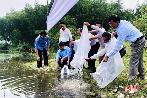 Hà Tĩnh thả 1,7 tấn cá giống tái tạo nguồn lợi thủy sản