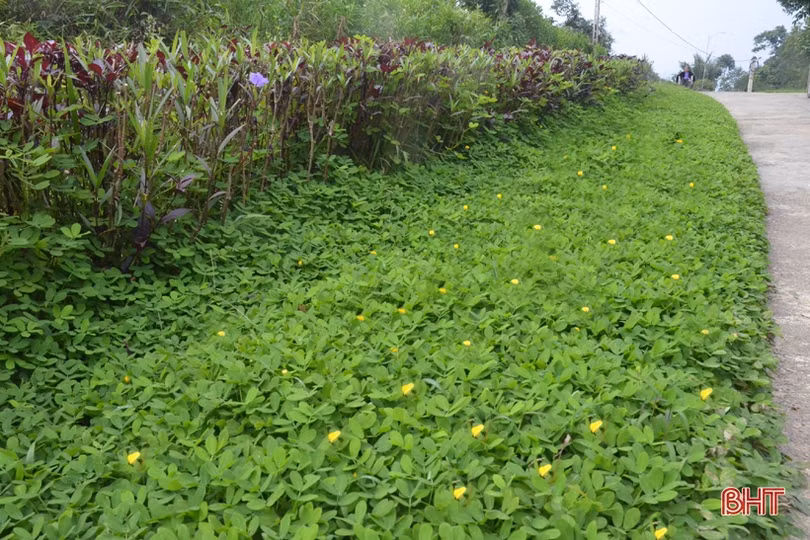 Nơi người dân là “nghệ nhân” xây khu dân cư nông thôn mới ở vùng thượng Kỳ Anh