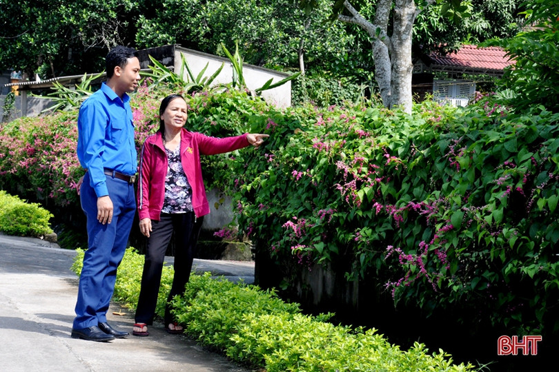 Đẹp ngỡ ngàng những bức tường hoa tigôn trên đường làng Hà Tĩnh