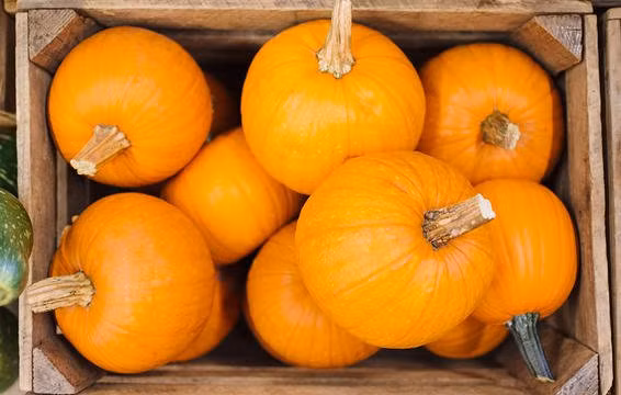 10 thực phẩm tốt nhất cho da trong mùa đông chị em cần biết