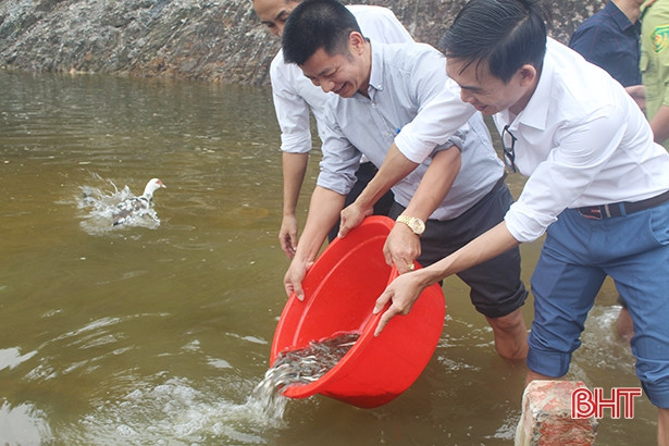 Hà Tĩnh thả hơn 3 tấn cá giống xuống hồ Ngàn Trươi và Đập Táy