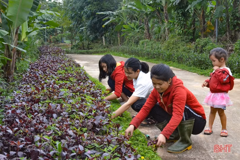 Nơi người dân là “nghệ nhân” xây khu dân cư nông thôn mới ở vùng thượng Kỳ Anh