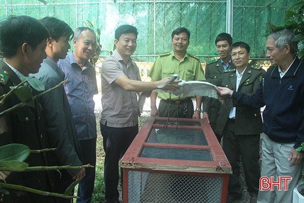 Bàn giao cò mỏ thìa quý hiếm cho Vườn Quốc gia Vũ Quang