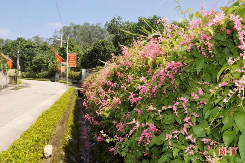 Tùng Ảnh gìn giữ và phát huy nét văn hóa vừa truyền thống, vừa hiện đại