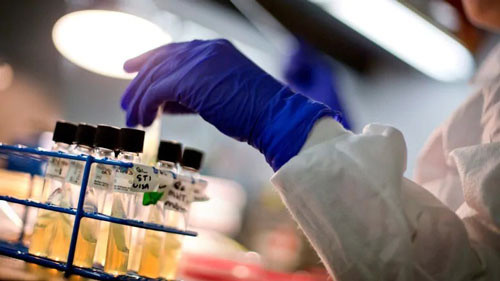 Mỹ báo động về siêu vi khuẩn kháng kháng sinh