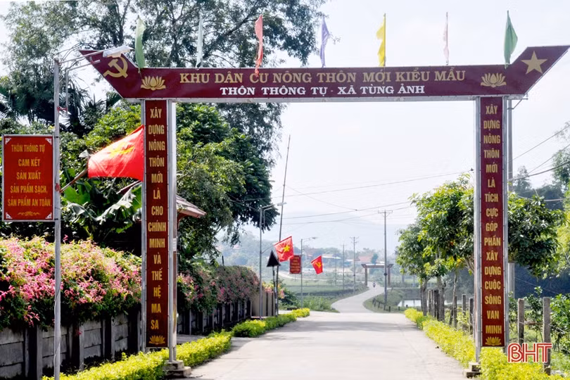 Đẹp ngỡ ngàng những bức tường hoa tigôn trên đường làng Hà Tĩnh