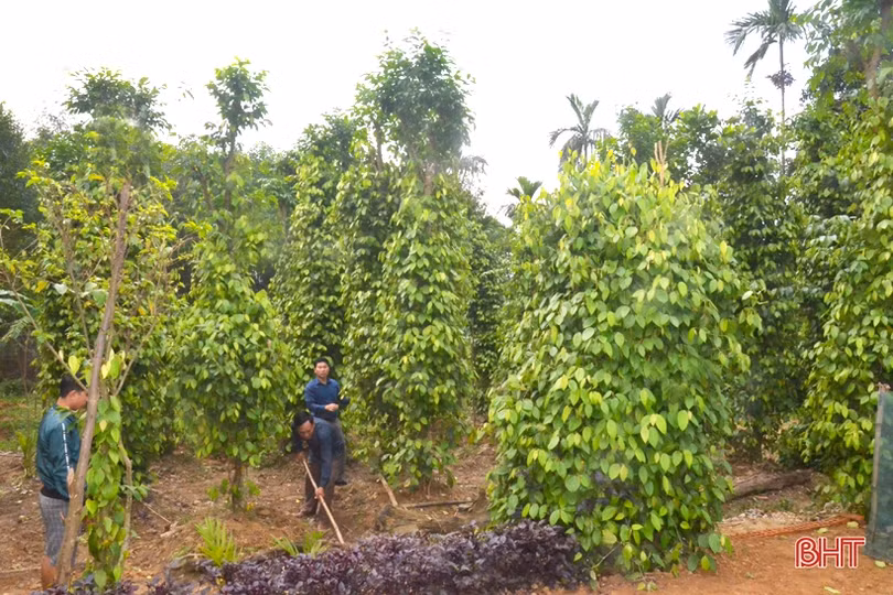 Nơi người dân là “nghệ nhân” xây khu dân cư nông thôn mới ở vùng thượng Kỳ Anh