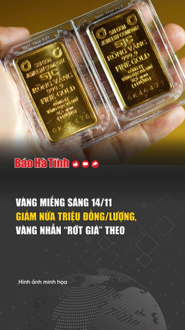 Vàng miếng sáng 14/11 giảm nửa triệu đồng/lượng, vàng nhẫn “rớt giá” theo