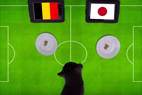 Dự đoán kết quả trận Bỉ vs Nhật Bản rạng sáng 3/7