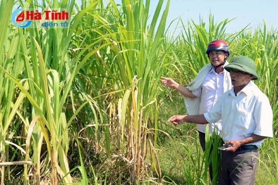 Ngọc càng mài, càng sáng… ảnh 3