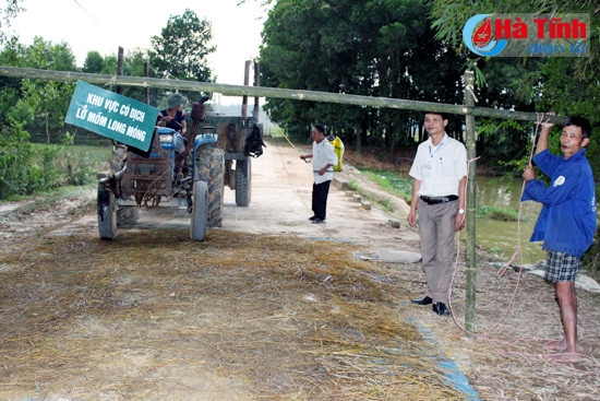 LMLM bùng phát ở Hương Giang, 41 con gia súc mắc bệnh ảnh 2