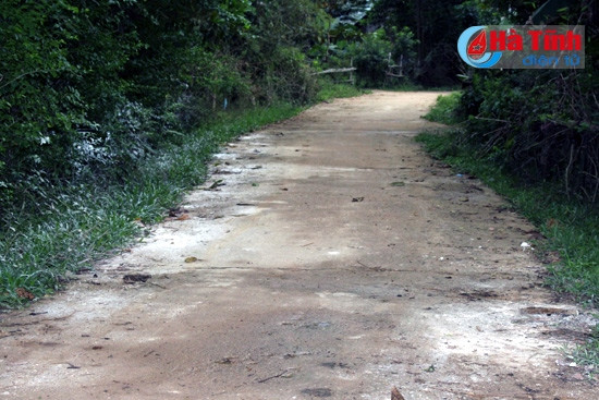 LMLM bùng phát ở Hương Giang, 41 con gia súc mắc bệnh ảnh 3