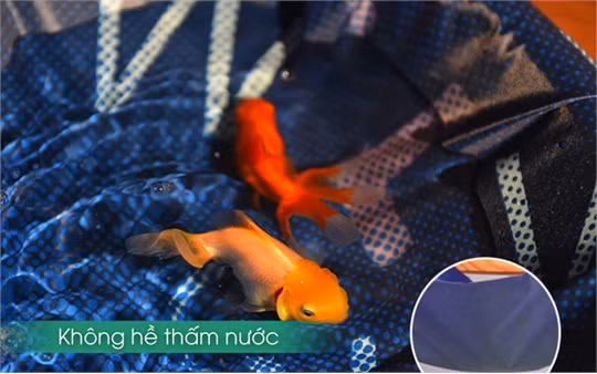 Choáng với áo chống rét "mùa đông không lạnh" khi đi xe máy cho chị em ảnh 4