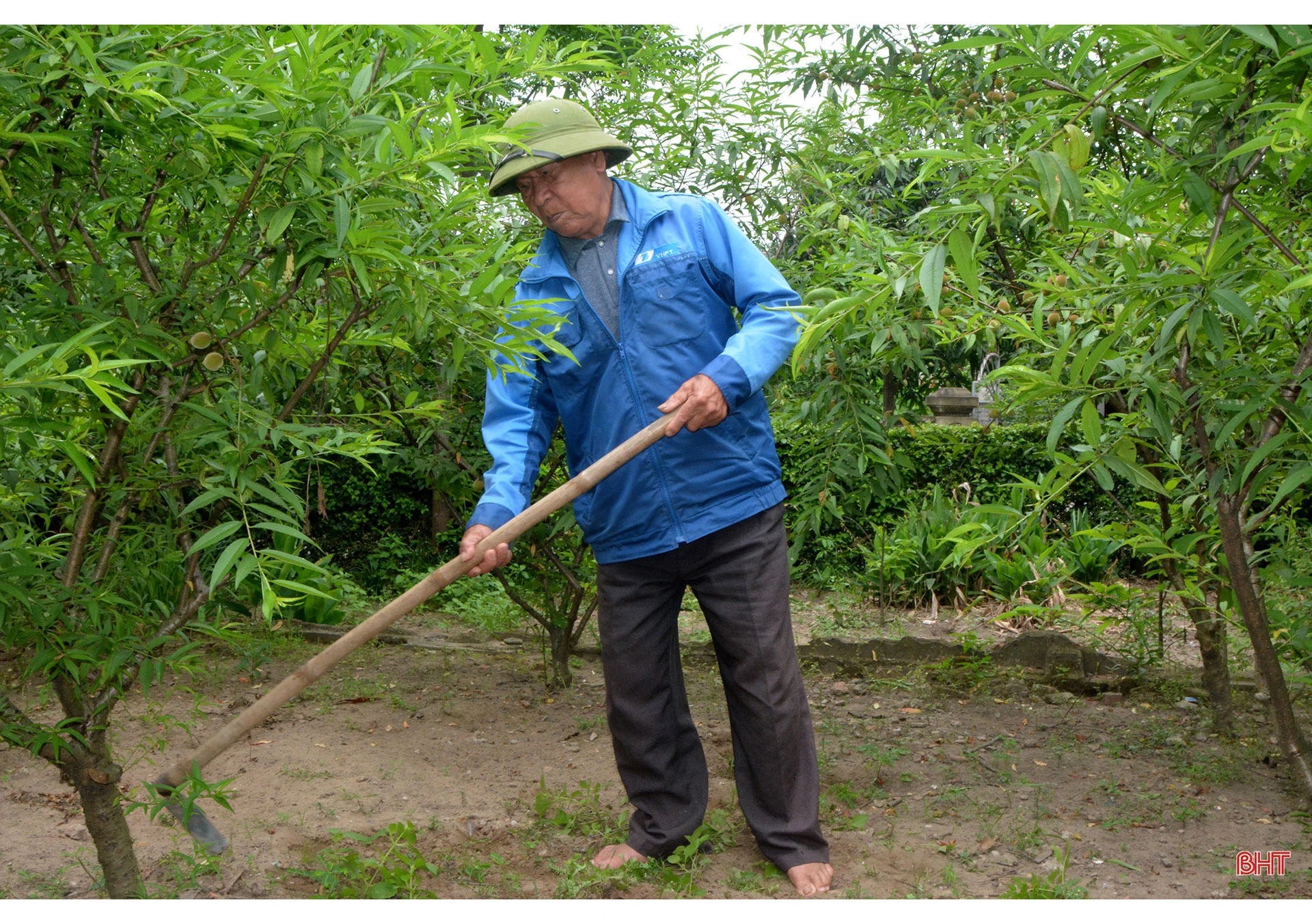 Cuộc sống bình dị của 5 chị em thượng thọ ở miền đất hát Hà Tĩnh