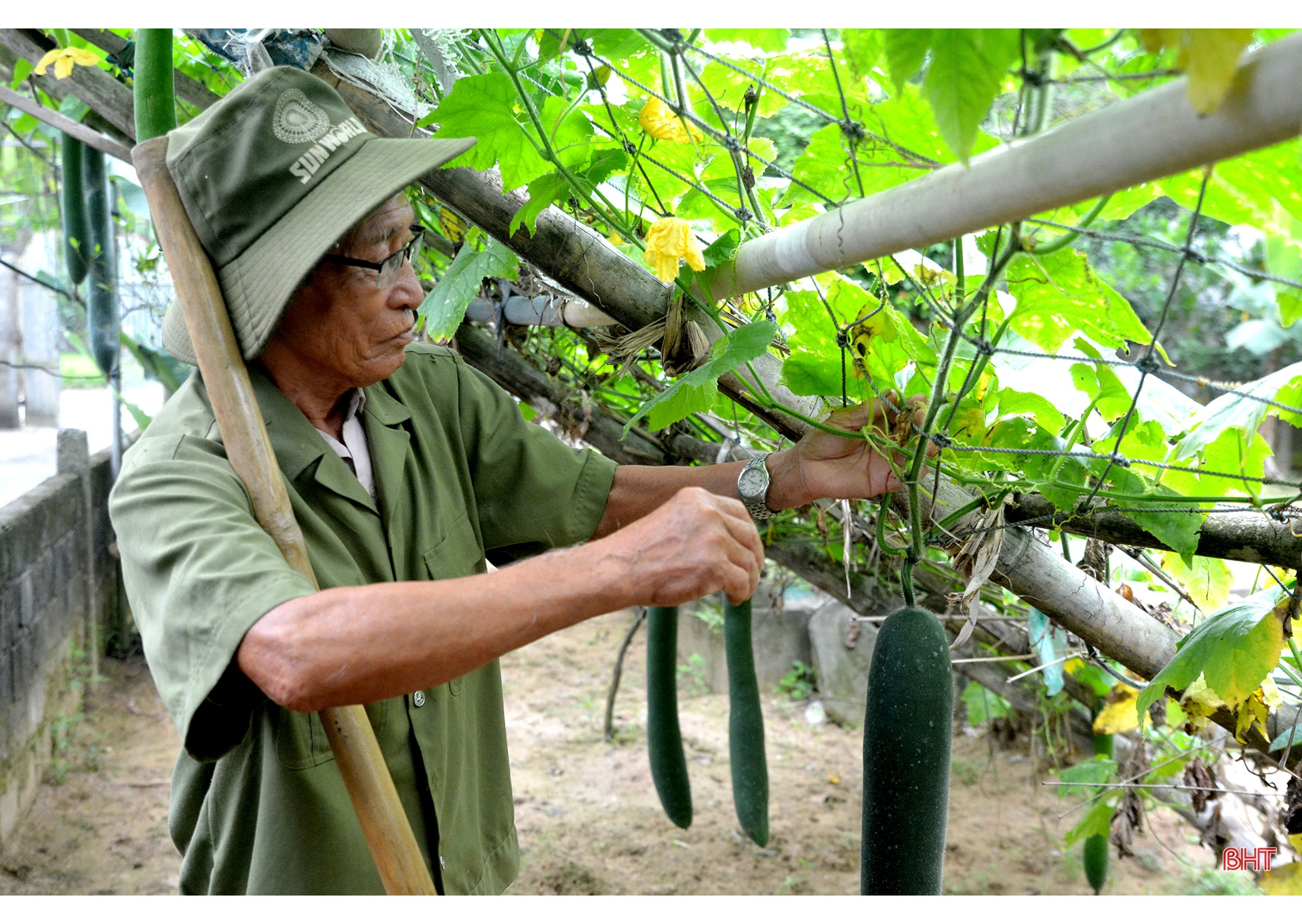 Cuộc sống bình dị của 5 chị em thượng thọ ở miền đất hát Hà Tĩnh