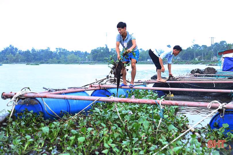 Người dân Hà Tĩnh tất bật bảo vệ ao đầm, lồng bè thủy sản trước bão số 7