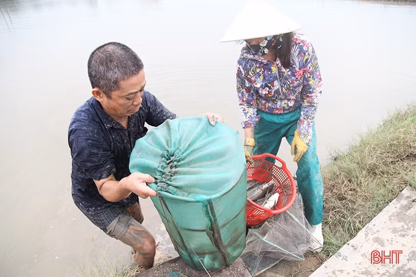 Người dân Hà Tĩnh tất bật bảo vệ ao đầm, lồng bè thủy sản trước bão số 7