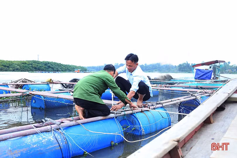 Ban Thường vụ Tỉnh ủy Hà Tĩnh chỉ đạo hướng dẫn, giúp đỡ Nhân dân phòng, chống, khắc phục hậu quả mưa lũ