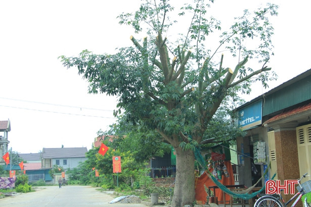 Huyện ven biển Hà Tĩnh “ráo riết” phòng bão số 7