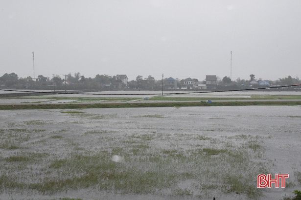 Mưa lớn gây sạt lở mặt kè âu thuyền, đường giao thông nông thôn ở Lộc Hà, Đức Thọ
