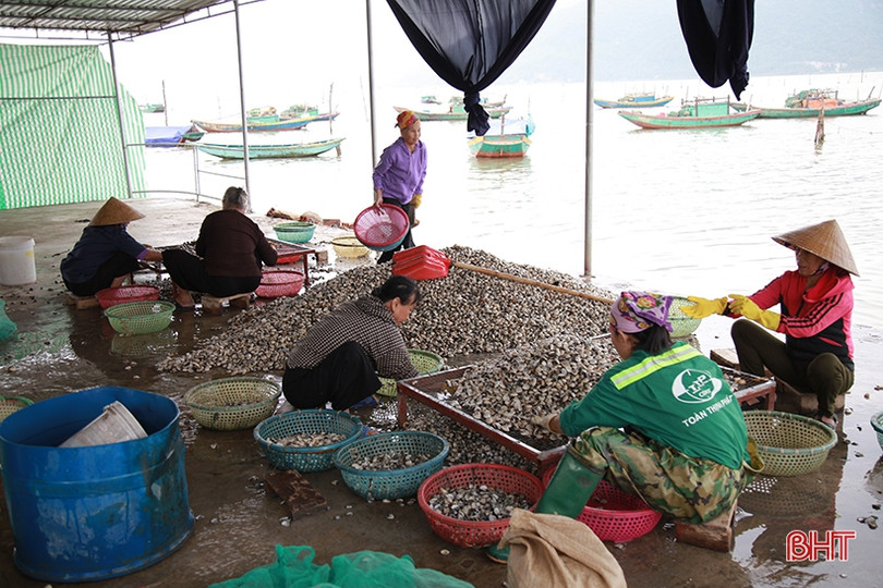 Người dân Hà Tĩnh tất bật bảo vệ ao đầm, lồng bè thủy sản trước bão số 7 ảnh 6 Người dân Hà Tĩnh tất bật bảo vệ ao đầm, lồng bè thủy sản trước bão số 7