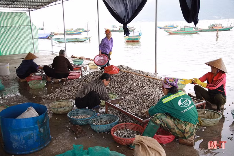 Người dân Hà Tĩnh tất bật bảo vệ ao đầm, lồng bè thủy sản trước bão số 7