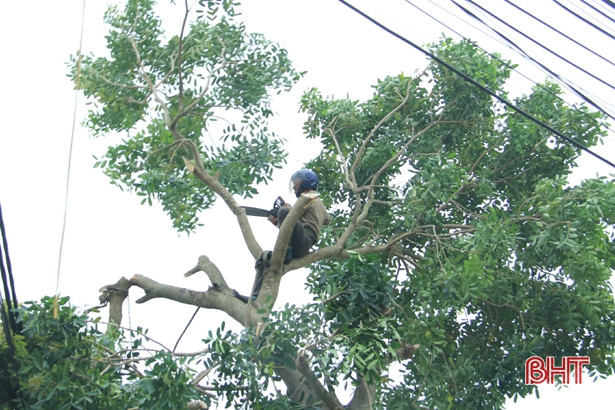 Huyện ven biển Hà Tĩnh “ráo riết” phòng bão số 7