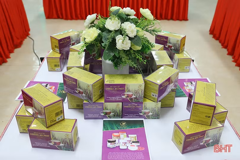 Hà Tĩnh đánh giá, phân hạng 26 sản phẩm OCOP đợt 1 năm 2020