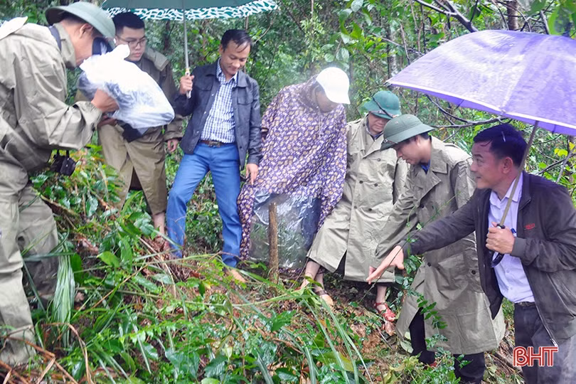 Xuất hiện vết nứt hàng chục mét trên núi, Hương Khê gấp rút sơ tán người dân