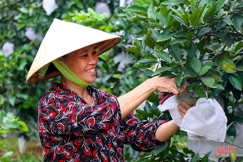 Nhân dân Hà Tĩnh gửi trọn niềm tin tới Đại hội Đảng bộ tỉnh nhiệm kỳ mới