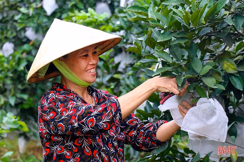 Nhân dân Hà Tĩnh gửi trọn niềm tin tới Đại hội Đảng bộ tỉnh nhiệm kỳ mới