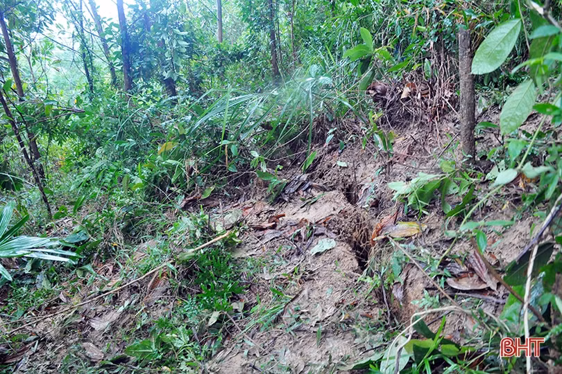 Xuất hiện vết nứt hàng chục mét trên núi, Hương Khê gấp rút sơ tán người dân