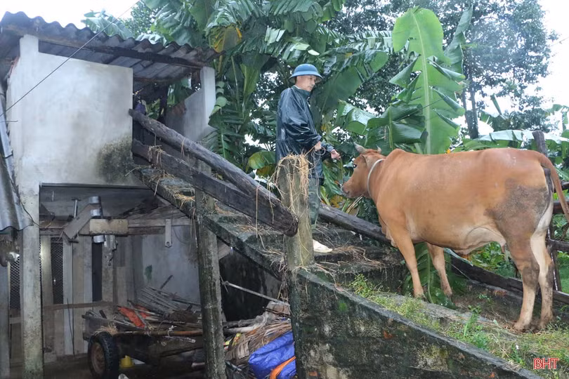 Nước sông Ngàn Sâu lên nhanh, người dân “rốn lũ” Vũ Quang khẩn trương dọn đồ chạy lũ