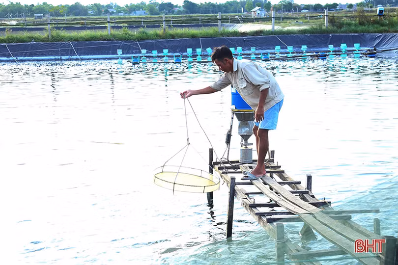 Người dân Hà Tĩnh tất bật bảo vệ ao đầm, lồng bè thủy sản trước bão số 7