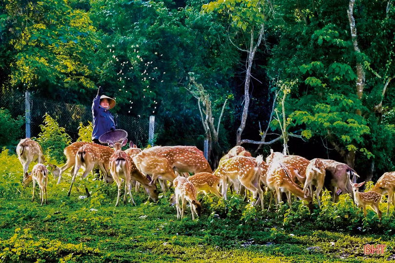Dấu ấn học tập và làm theo gương Bác ở Hương Sơn